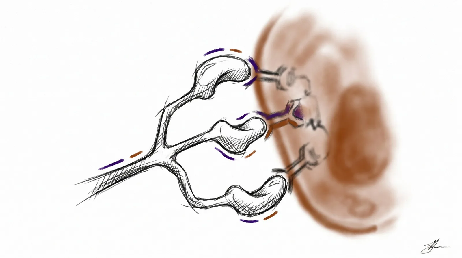 Header illustration for Retatrutide Research Guide: Triple Agonist Mechanism & Published Studies